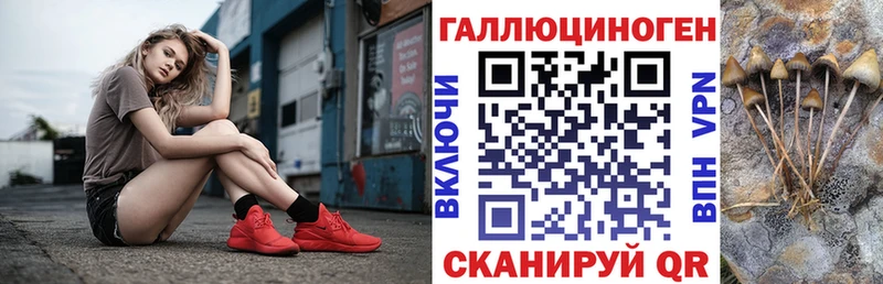 Галлюциногенные грибы Magic Shrooms кракен ССЫЛКА Берёзовка