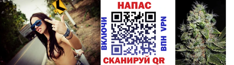 Бошки марихуана Amnesia  Берёзовка 